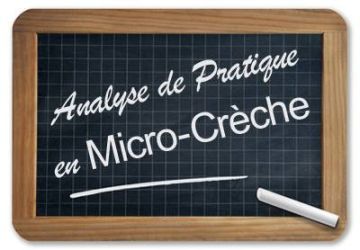 Mise en place d'Analyse de la Pratique en micro-crèches GAP Directrice Auxiliaires petite enfance micro crèches Assistants petite Micro-crèche enfance