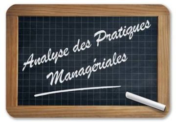 analyse des pratiques managériales cadres directeur Directrice gapp