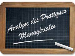 analyse des pratiques managériales
