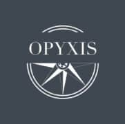 OPYXIS ANALYSE DES PRATIQUES